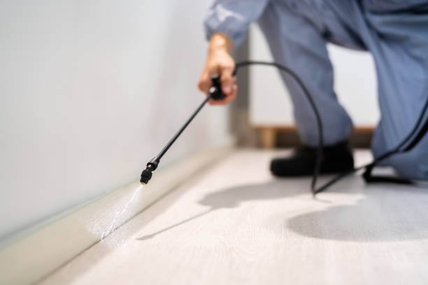 Licensed Pest Control service in Ranchester, WY - Show Me Pest Control