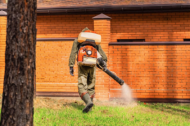Bed Bug Clearance Verification and Documentation in Ranchester